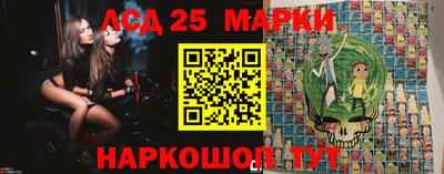 гидропоника Сланцы