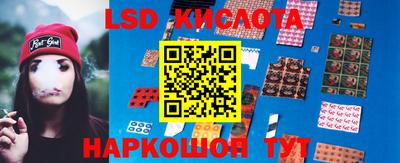 гидропоника Сланцы