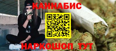 МДПВ Славгород
