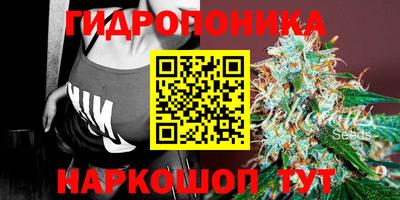МДПВ Славгород