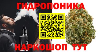 гидропоника Сланцы