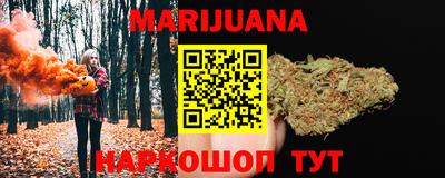 МДПВ Славгород