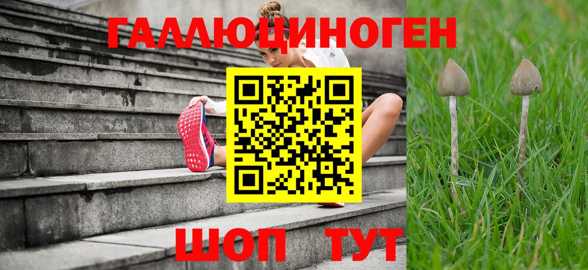 где продают наркотики  Вход с VPN  Элиста  Галлюциногенные грибы ЛСД  Галлюциногенные грибы GOLDEN TEACHER 
