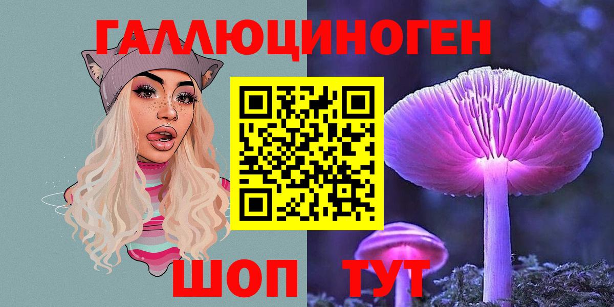 Псилоцибиновые грибы мицелий Элиста